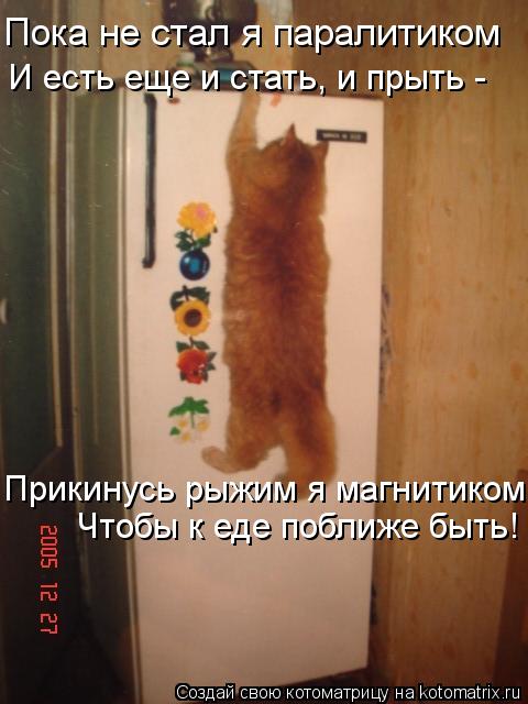 Пока не стал я паралитиком Прикинусь рыжим я магнитиком, Чтобы к еде поближе быть! И есть еще и ста... Котоматрица: Пока не стал я паралитиком Прикинусь рыжим я магнитиком, Чтобы к еде поближе быть! И есть еще и стать, и прыть -