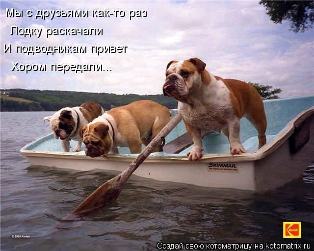 Котоматрица: Мы с друзьями как-то раз Лодку раскачали И подводникам привет Хором передали...
