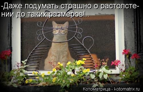 -Даже подумать страшно о растолсте- нии до таких размеров!..... Котоматрица: -Даже подумать страшно о растолсте- нии до таких размеров!..