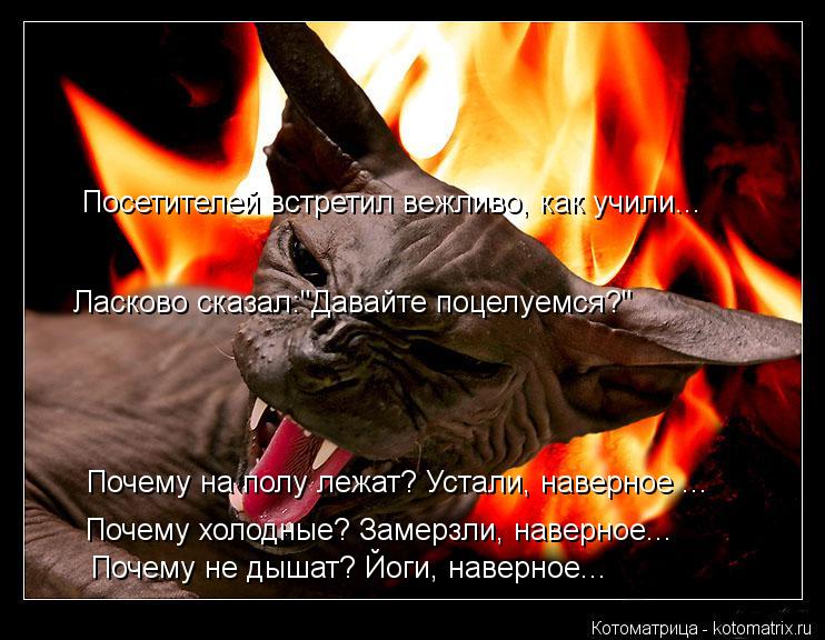 Котоматрица: Посетителей встретил вежливо, как учили... Ласково сказал:"Давайте поцелуемся?" Почему холодные? Замерзли, наверное... Почему не дышат? Йоги, н