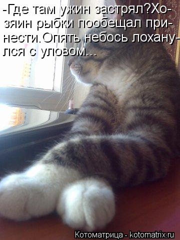 -Где там ужин застрял?Хо- зяин рыбки пообещал при- нести.Опять небось лохану- лся с уловом...... Котоматрица: -Где там ужин застрял?Хо- зяин рыбки пообещал при- нести.Опять небось лохану- лся с уловом...