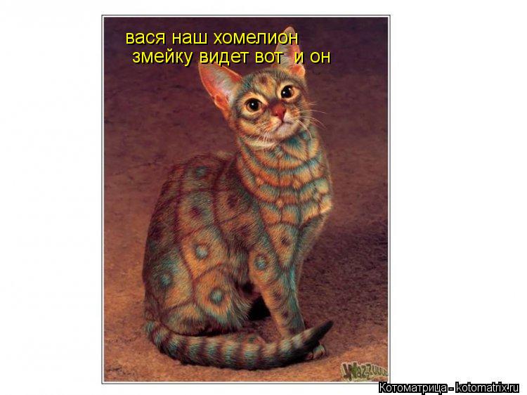 вася наш хомелион вася наш хомелион змейку видет вот и он змейку видет вот и он... Котоматрица: вася наш хомелион вася наш хомелион змейку видет вот и он змейку видет вот и он