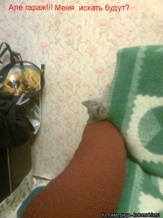 Котоматрица: Алё гараж!!! Меня  искать будут?