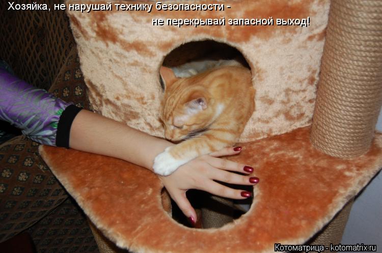 Котоматрица: Хозяйка, не нарушай технику безопасности -  не перекрывай запасной выход!