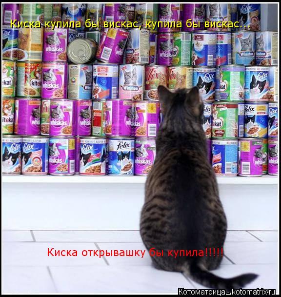 Киска купила бы вискас, купила бы вискас... Киска открывашку бы купила!!!!!... Котоматрица: Киска купила бы вискас, купила бы вискас... Киска открывашку бы купила!!!!!