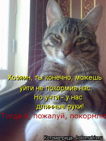 Котоматрица: Хозяин, ты конечно, можешь уйти не покормив нас. Но учти - у нас длинные руки! Тогда я, пожалуй, покормлю