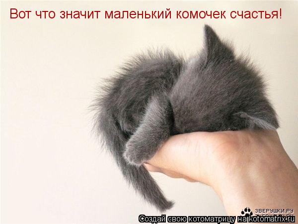 Вот что значит маленький комочек счастья!... Котоматрица: Вот что значит маленький комочек счастья!