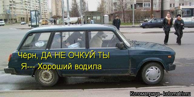 Котоматрица: Чёрн, ДА НЕ ОЧКУЙ ТЫ Я--- Хороший водила