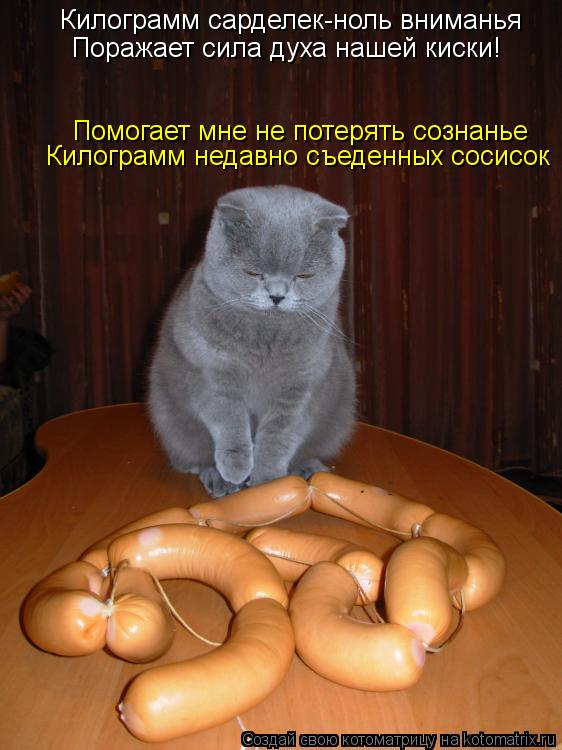 Котоматрица: Килограмм сарделек-ноль вниманья Поражает сила духа нашей киски! Помогает мне не потерять сознанье Килограмм недавно съеденных сосисок