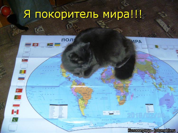 Я покоритель мира!!!... Котоматрица: Я покоритель мира!!!