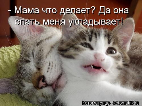 - Мама что делает? Да она спать меня укладывает!... Котоматрица: - Мама что делает? Да она спать меня укладывает!