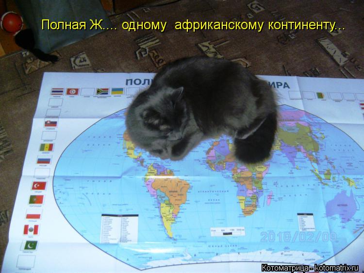 Котоматрица: Полная Ж.... одному  африканскому континенту...