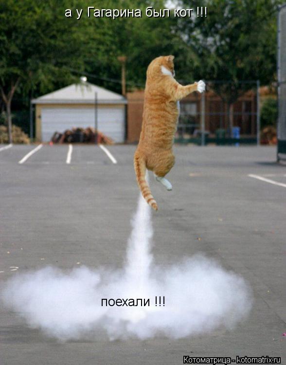 а у Гагарина был кот !!! поехали !!!... Котоматрица: а у Гагарина был кот !!! поехали !!!