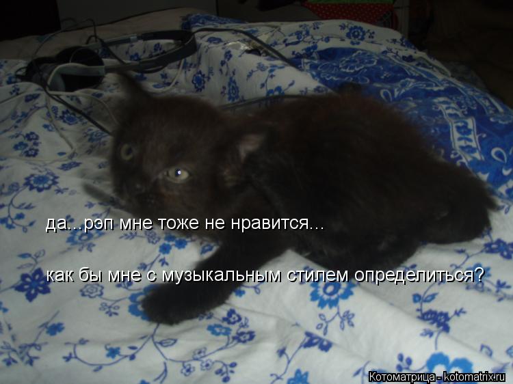 да...рэп мне тоже не нравится... как бы мне с музыкальным стилем определиться?... Котоматрица: да...рэп мне тоже не нравится... как бы мне с музыкальным стилем определиться?