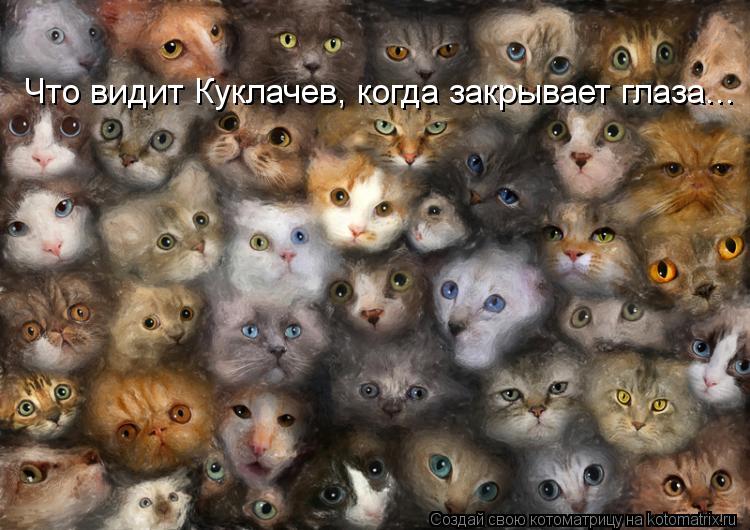 Котоматрица: Что видит Куклачев, когда закрывает глаза...