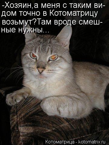 -Хозяин,а меня с таким ви- дом точно в Котоматрицу возьмут?Там вроде смеш- ные нужны...... Котоматрица: -Хозяин,а меня с таким ви- дом точно в Котоматрицу возьмут?Там вроде смеш- ные нужны...