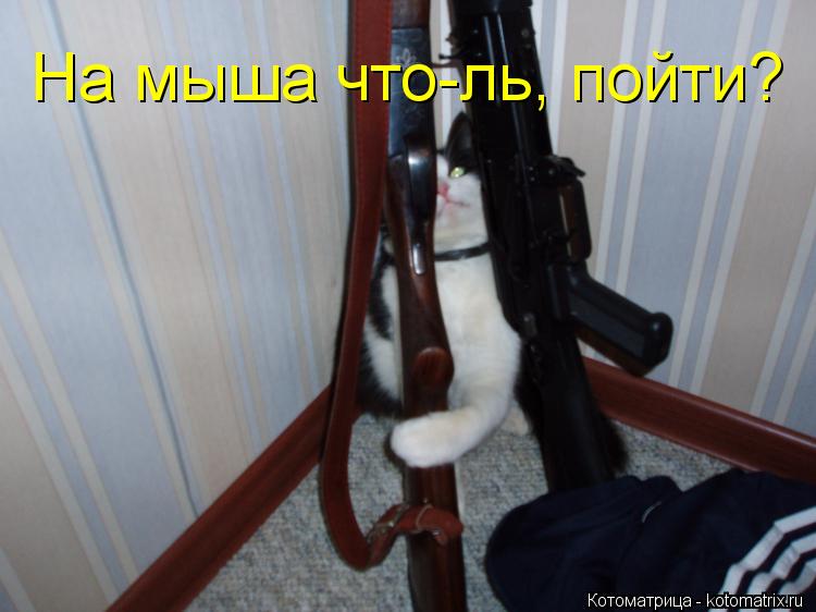 Котоматрица: На мыша что-ль, пойти?