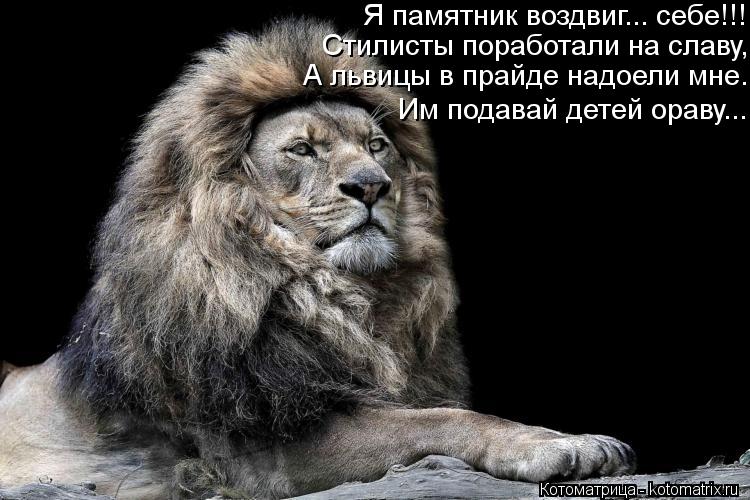 Котоматрица: Стилисты поработали на славу, Я памятник воздвиг... себе!!! А львицы в прайде надоели мне. Им подавай детей ораву...
