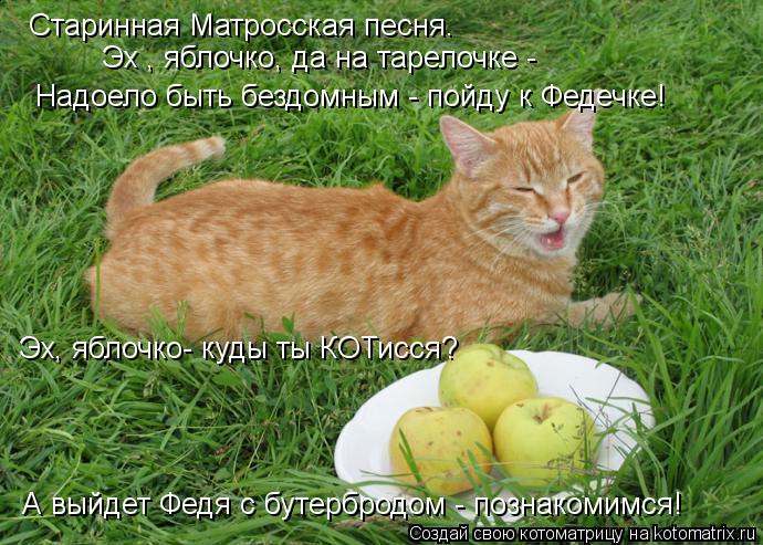Старинная Матросская песня. Эх , яблочко, да на тарелочке - Надоело быть бездомным - пойду к Федечке!... Котоматрица: Старинная Матросская песня. Эх , яблочко, да на тарелочке - Надоело быть бездомным - пойду к Федечке! Эх, яблочко- куды ты КОТисся? А выйдет Фе