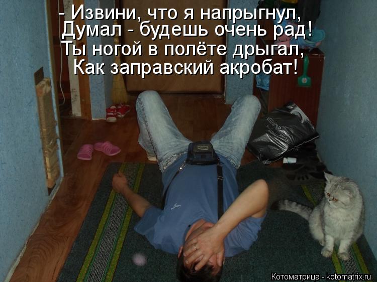 - Извини, что я напрыгнул, Думал - будешь очень рад! Ты ногой в полёте дрыгал, Как заправский акробат... Котоматрица: - Извини, что я напрыгнул, Думал - будешь очень рад! Ты ногой в полёте дрыгал, Как заправский акробат!