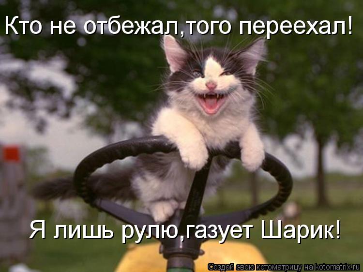 Котоматрица: Кто не отбежал,того переехал! Я лишь рулю,газует Шарик!