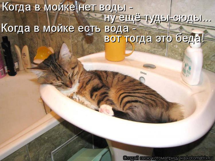Когда в мойке нет воды - Когда в мойке есть вода - вот тогда это беда! ну ещё туды-сюды...... Котоматрица: Когда в мойке нет воды - Когда в мойке есть вода - вот тогда это беда! ну ещё туды-сюды...