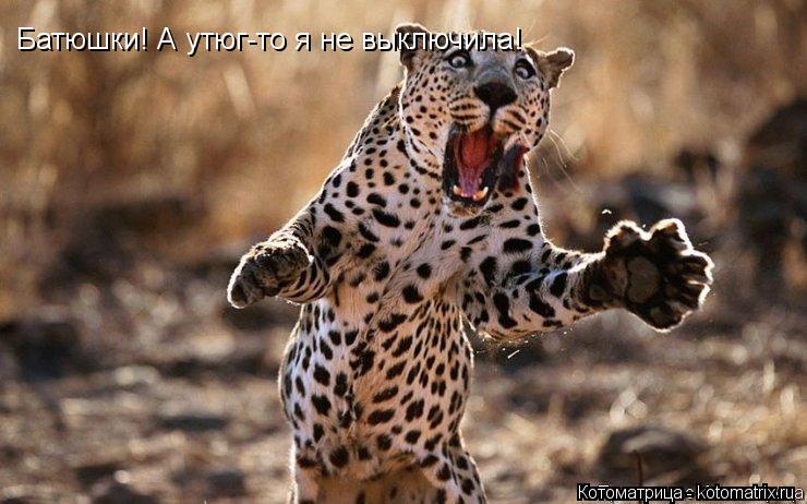 Котоматрица: Батюшки! А утюг-то я не выключила!