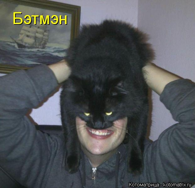 Бэтмэн... Котоматрица: Бэтмэн