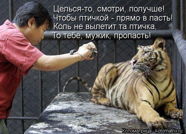 Целься-то, смотри, получше! Чтобы птичкой - прямо в пасть! Коль не вылетит та птичка, То тебе, мужик,... Котоматрица: Целься-то, смотри, получше! Чтобы птичкой - прямо в пасть! Коль не вылетит та птичка, То тебе, мужик, пропасть!