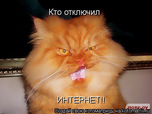 Кто отключил ИНТЕРНЕТ!!... Котоматрица: Кто отключил ИНТЕРНЕТ!!