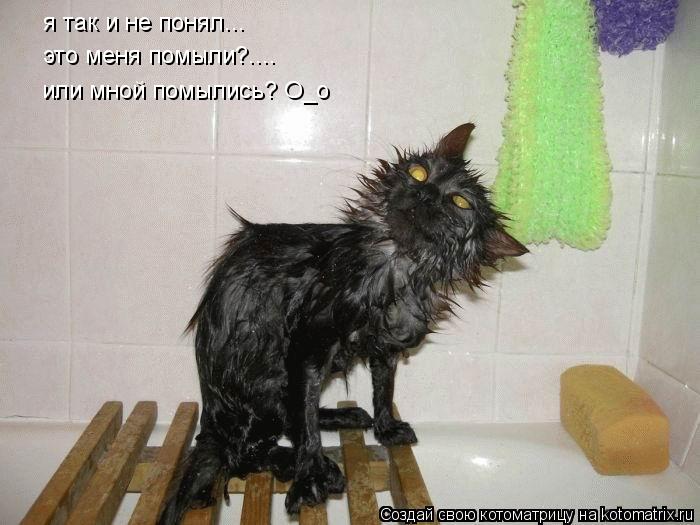 Котоматрица: я так и не понял... это меня помыли?.... или мной помылись? O_o