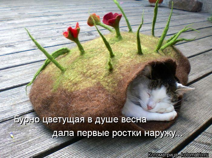 Бурно цветущая в душе весна дала первые ростки наружу...... Котоматрица: Бурно цветущая в душе весна дала первые ростки наружу...
