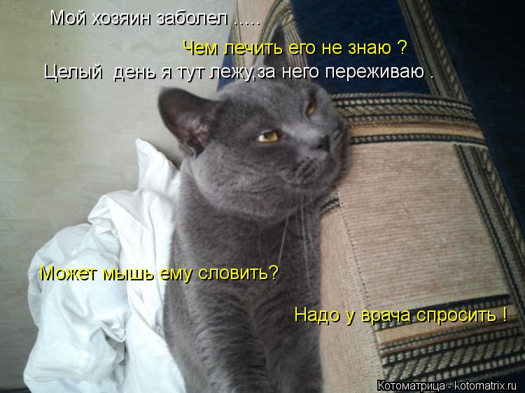 Котоматрица: Мой хозяин заболел ..... Чем лечить его не знаю ? Целый  день я тут лежу,за него переживаю . Может мышь ему словить? Надо у врача спросить !