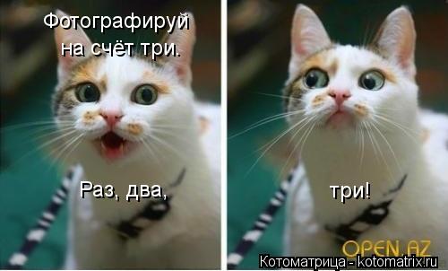 Фотографируй на счёт три. Раз, два, три!... Котоматрица: Фотографируй на счёт три. Раз, два, три!