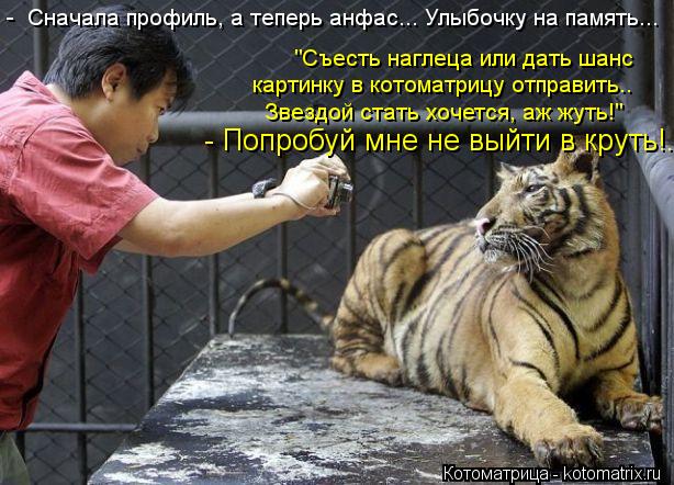 - Сначала профиль, а теперь анфас... Улыбочку на память... "Съесть наглеца или дать шанс картинку ... Котоматрица: - Сначала профиль, а теперь анфас... Улыбочку на память... "Съесть наглеца или дать шанс картинку в котоматрицу отправить.. Звездой стать хо