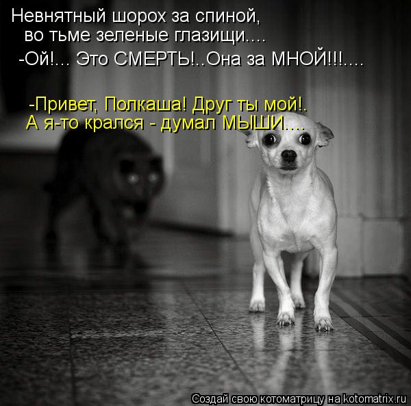 Невнятный шорох за спиной, во тьме зеленые глазищи.... -Ой!... Это СМЕРТЬ!..Она за МНОЙ!!!.... -П... Котоматрица: Невнятный шорох за спиной, во тьме зеленые глазищи.... -Ой!... Это СМЕРТЬ!..Она за МНОЙ!!!.... -Привет, Полкаша! Друг ты мой!. А я-то крался - думал М
