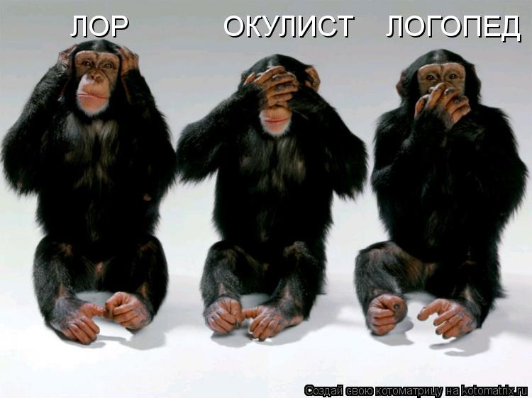 ЛОР ОКУЛИСТ ЛОГОПЕД... Котоматрица: ЛОР ОКУЛИСТ ЛОГОПЕД