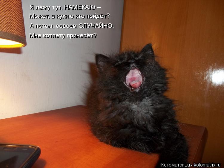 Котоматрица: Я лежу тут, НАМЕКАЮ – Может, в кухню кто пойдёт? А потом, совсем СЛУЧАЙНО, Мне котлету принесёт?