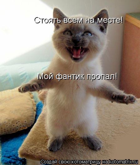 Стоять всем на месте! Мой фантик пропал!... Котоматрица: Стоять всем на месте! Мой фантик пропал!