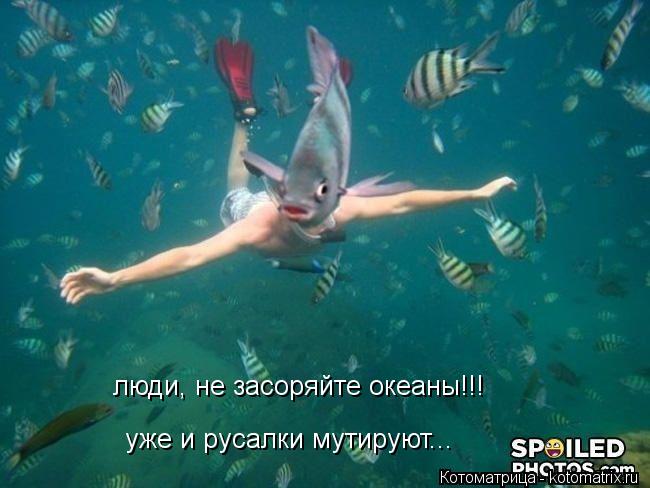 Котоматрица: люди, не засоряйте океаны!!! уже и русалки мутируют...
