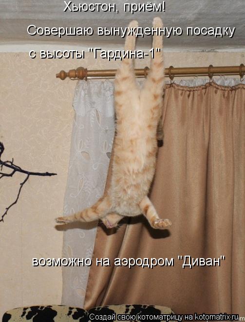 Котоматрица: Хьюстон, приём! Совершаю вынужденную посадку с высоты "Гардина-1" возможно на аэродром "Диван"