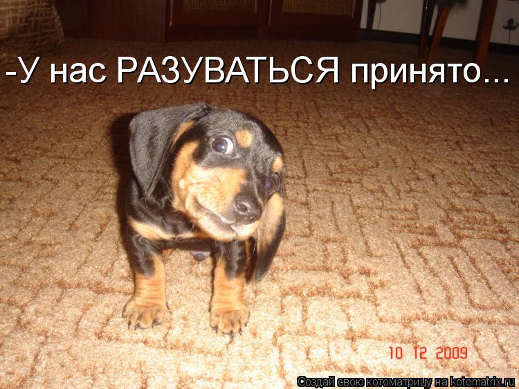 Котоматрица: -У нас РАЗУВАТЬСЯ принято...