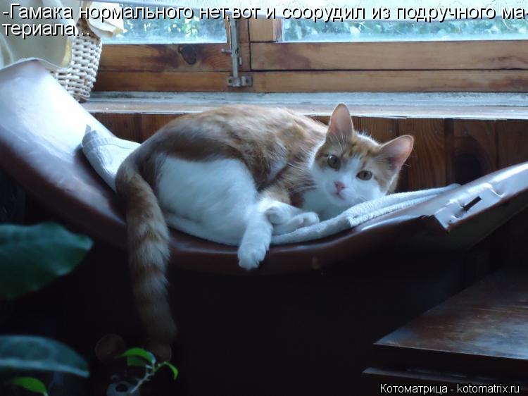 Котоматрица: -Гамака нормального нет,вот и соорудил из подручного ма- териала...