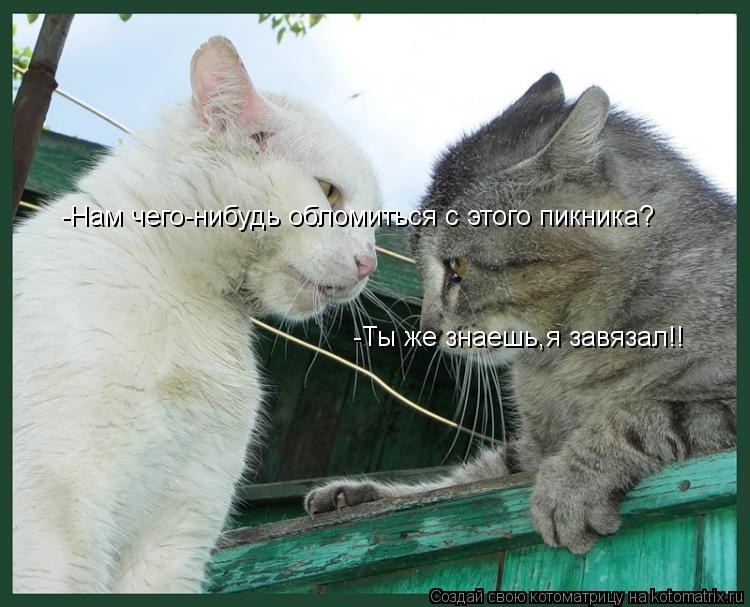 Котоматрица: -Нам чего-нибудь обломиться с этого пикника? -Ты же знаешь,я завязал!!