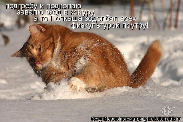 Котоматрица: подгребу и подкопаю завалю вход в конуру, а то Полкаша зодолбал всех физкультурой поутру!