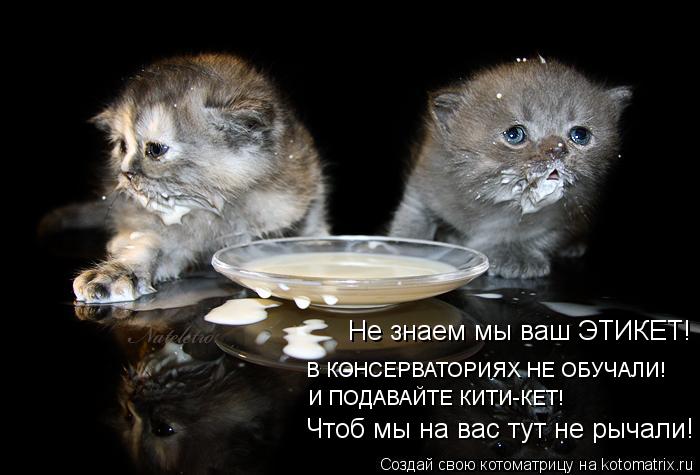 Котоматрица: Не знаем мы ваш ЭТИКЕТ! В КОНСЕРВАТОРИЯХ НЕ ОБУЧАЛИ! И ПОДАВАЙТЕ КИТИ-КЕТ! Чтоб мы на вас тут не рычали!