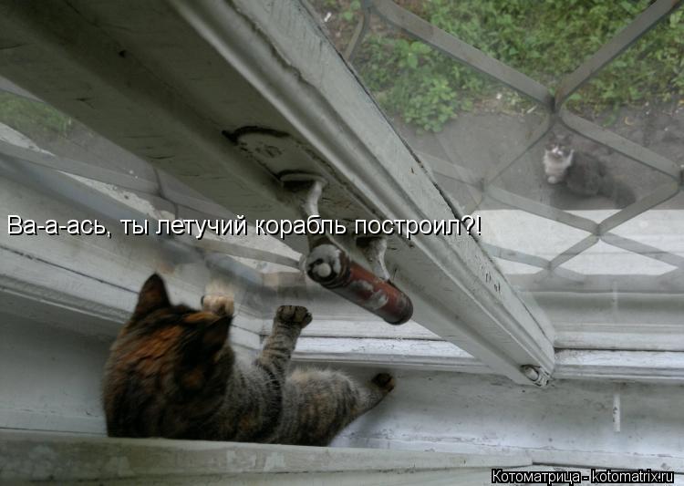 Котоматрица: Ва-а-ась, ты летучий корабль построил?!
