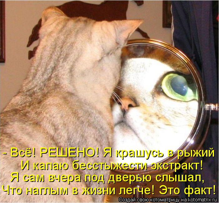 Котоматрица: - Всё! РЕШЕНО! Я крашусь в рыжий И капаю бесстыжести экстракт! Я сам вчера под дверью слышал, Что наглым в жизни легче! Это факт!