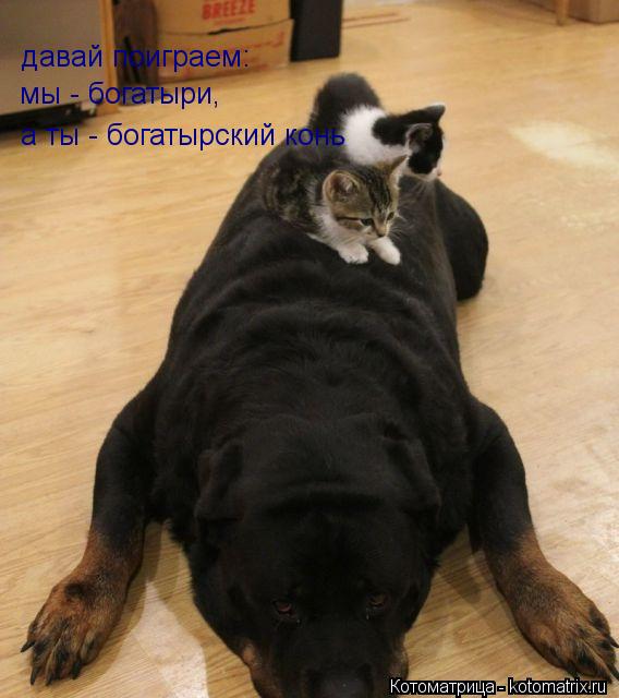 Котоматрица: давай поиграем: мы - богатыри, а ты - богатырский конь