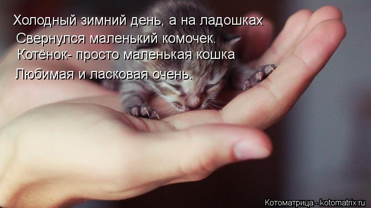 Котоматрица: Холодный зимний день, а на ладошках   Свернулся маленький комочек.  Котёнок- просто маленькая кошка Любимая и ласковая очень.